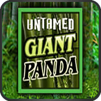 GIANT PANDA